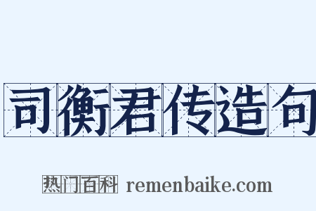 司衡君传造句是什么意思的图片